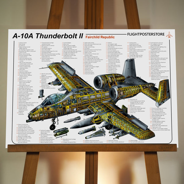 A-10 Thunderbolt ll Anatomy Poster