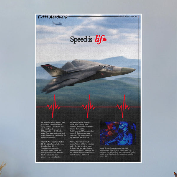 F-111 Aardvark Propaganda Poster