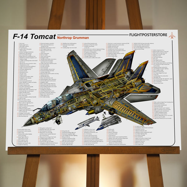 F-14 Tomcat Anatomy Poster