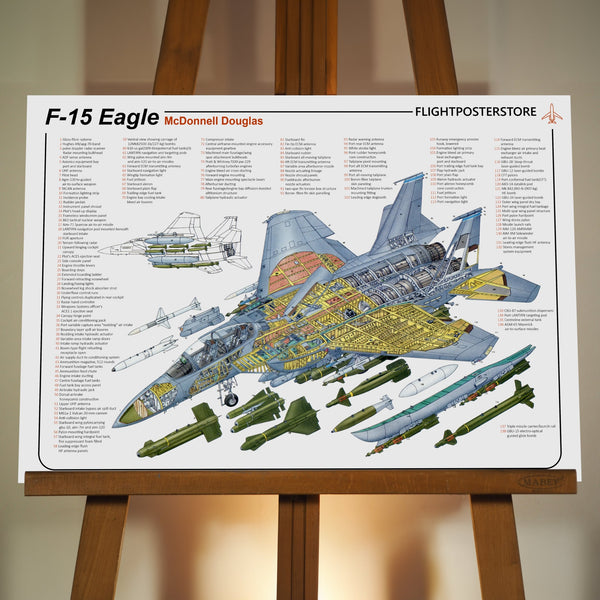 F-15 Eagle Anatomy Poster