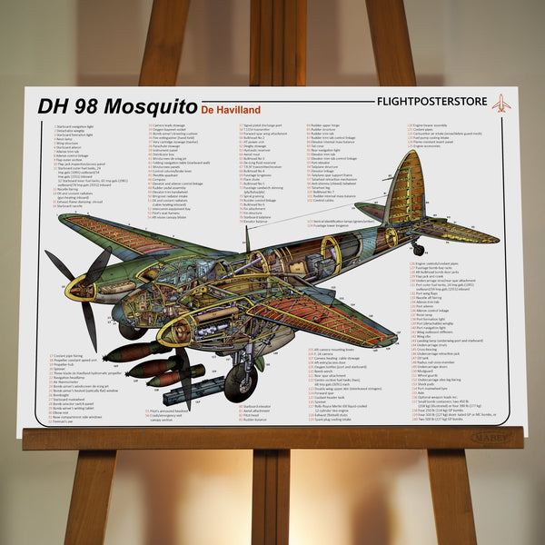 DH 98 Mosquito Anatomy Poster