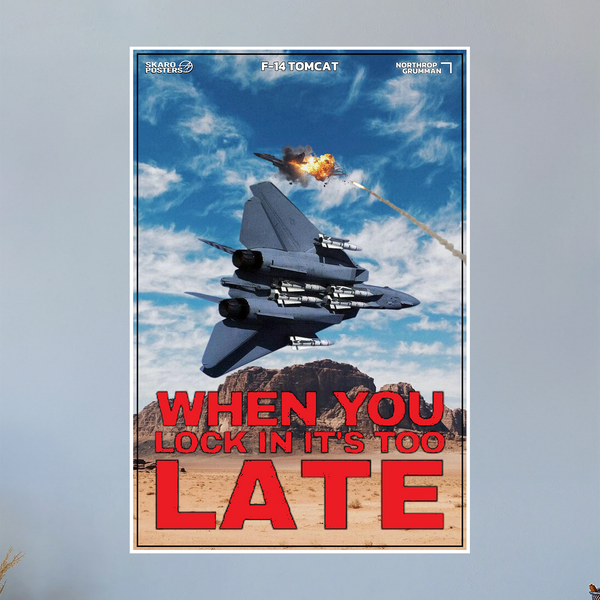 F-14 Tomcat Propaganda Poster (Skaro Posters)