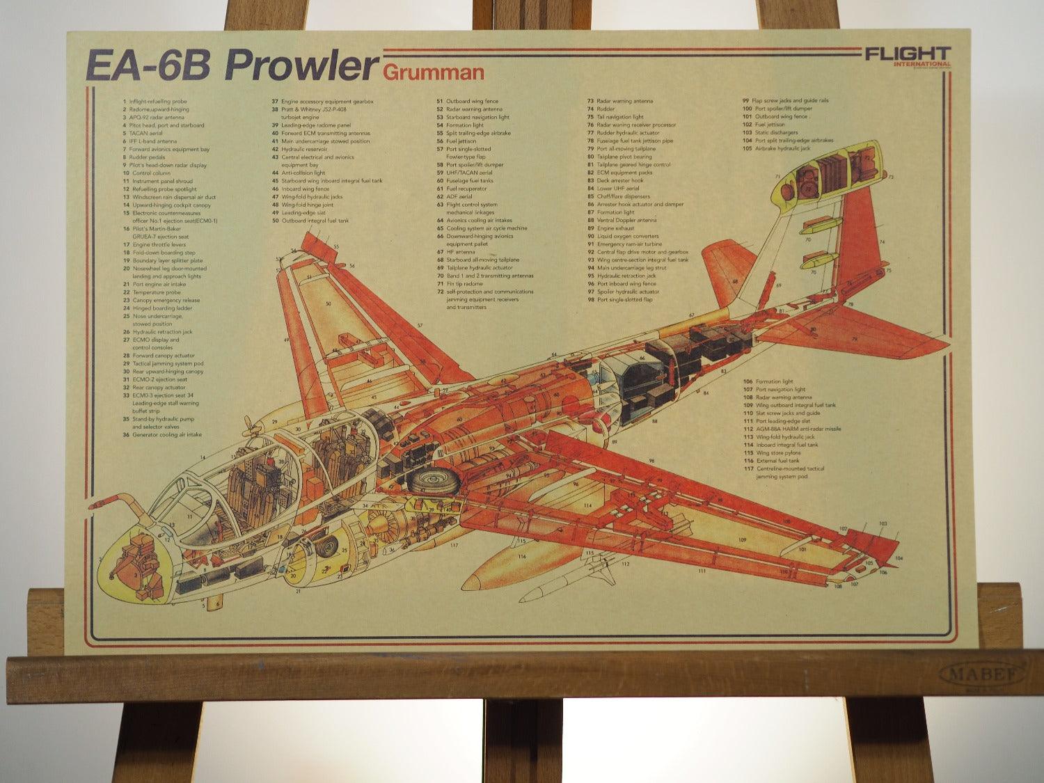 EA-6B Prowler Wall Poster